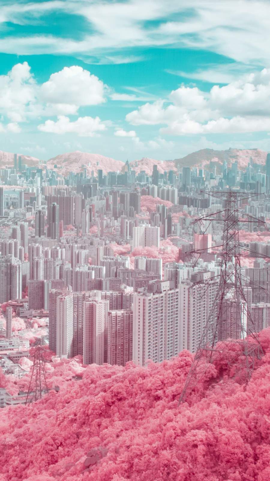 Hochhäuser, Rosa Bäume, Surreal, Türkiser Himmel, Infrarot, HD, Handy-Hintergrundbild