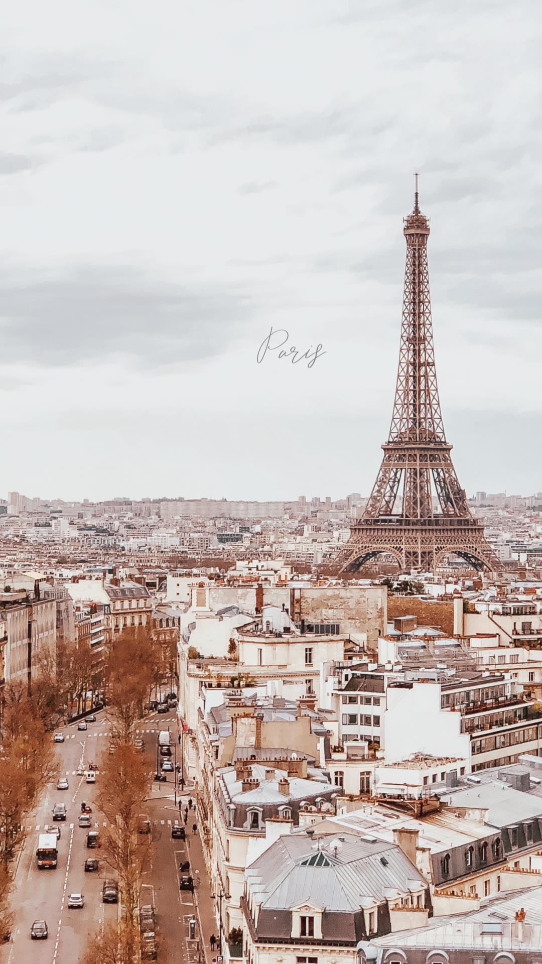 Eiffelturm, Paris, Luftaufnahme, Dächer, Bewölkt, Full HD, Handy-Hintergrund im Hochformat
