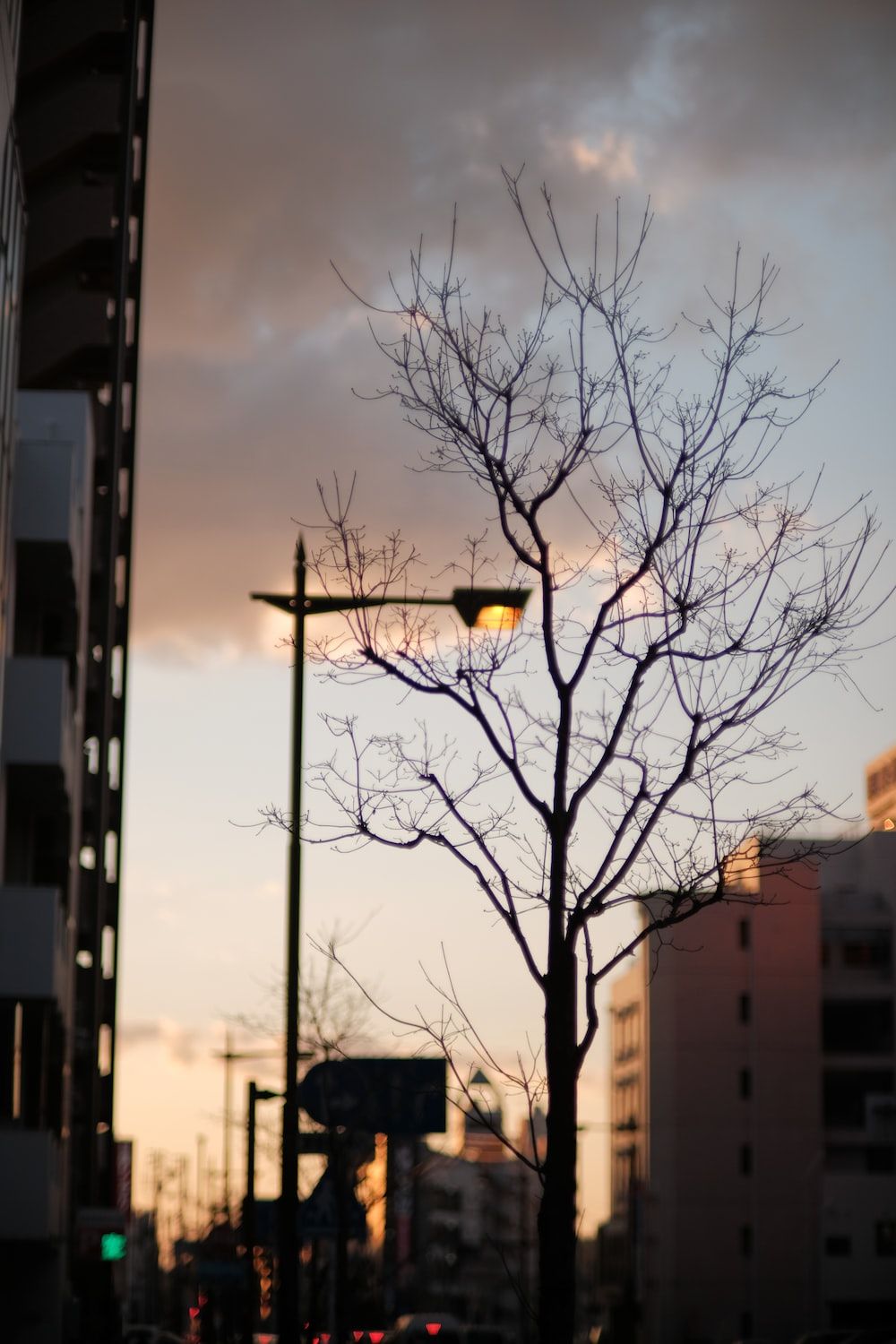 Kahler Baum, Straßenlaterne, Sonnenuntergang, Silhouette, Gebäude, Android-Hintergrundbild