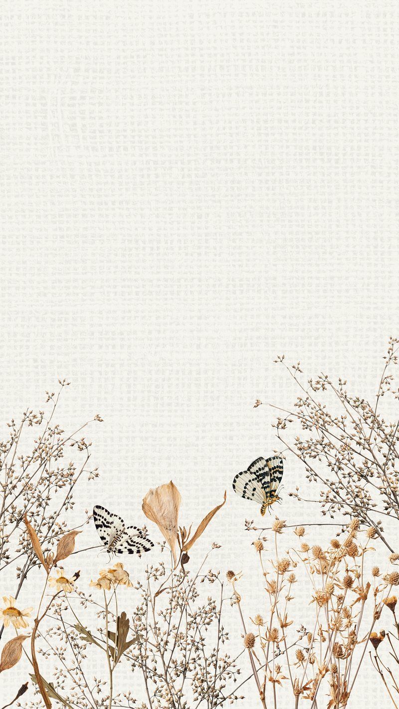 Trockenblumen, Schmetterlinge, Leinen, Beige, Botanisch, HD, Handy-Hintergrundbild