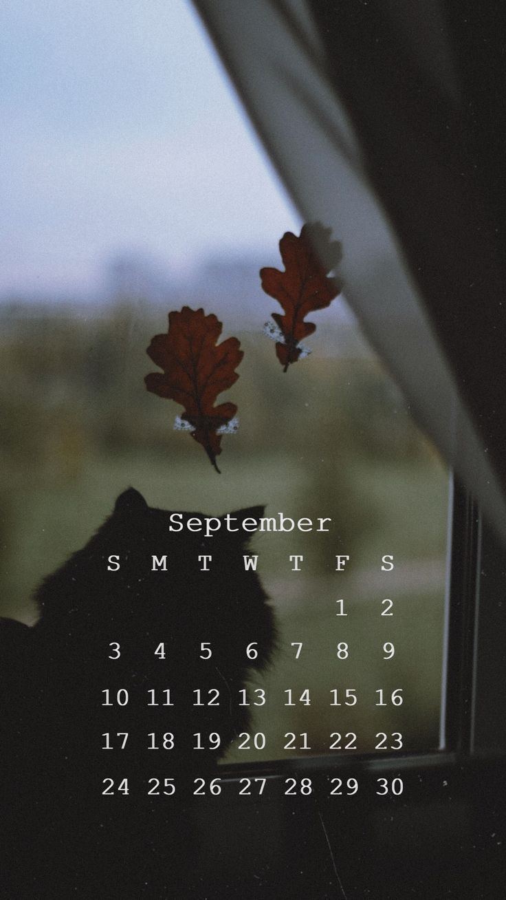 Kalender, September, Herbstblätter, Dunkel, Fenster, HD, Sperrbildschirm fürs iPhone
