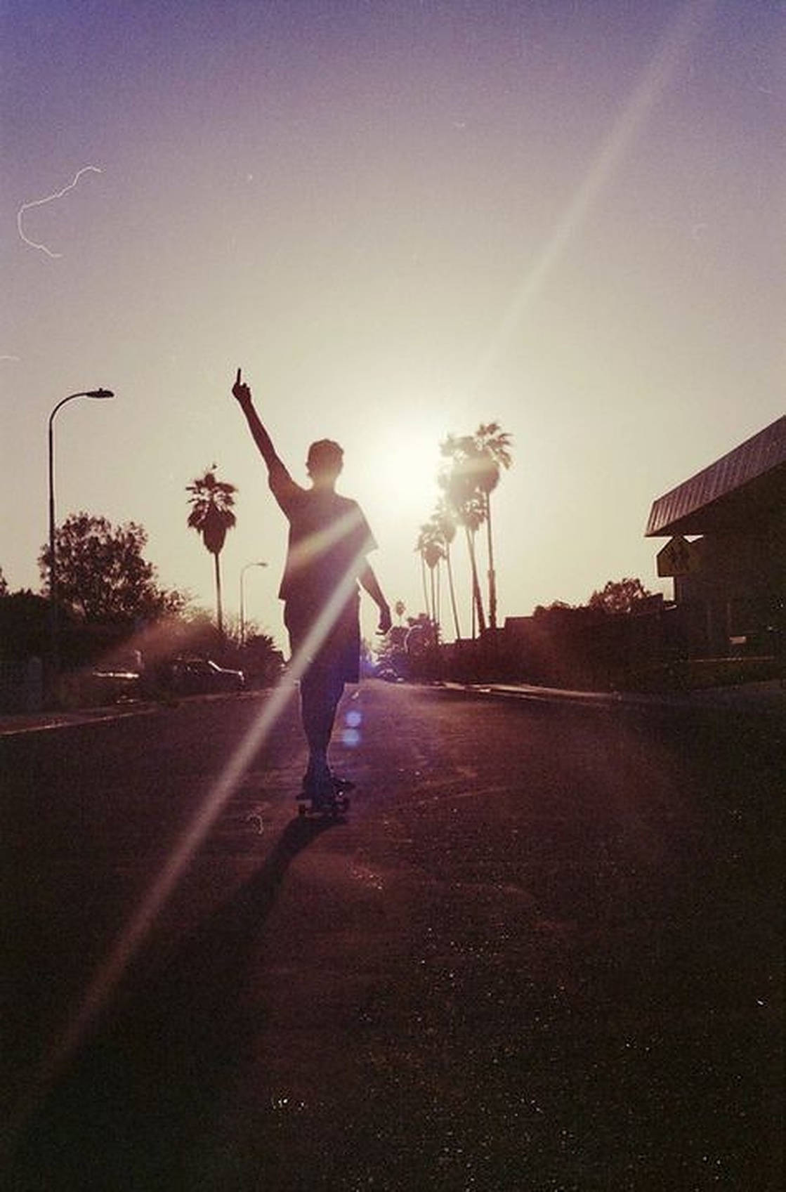 Person, Gegenlicht, Palmen, Straße, Sonnenlicht, Hochformat, Hintergrundbild fürs Smartphone