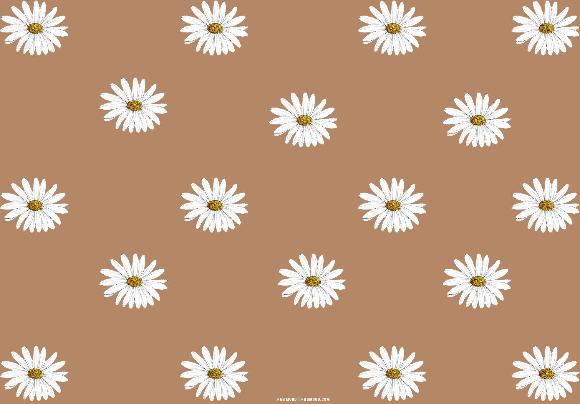 Gänseblümchen, Blumenmuster, Braun, Muster, Full HD, Desktop-Hintergrund für Windows