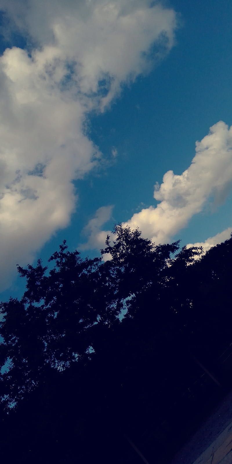 Baum-Silhouette, Wolken, Blauer Himmel, Kontrast, HD, Hintergrundbild fürs Handy
