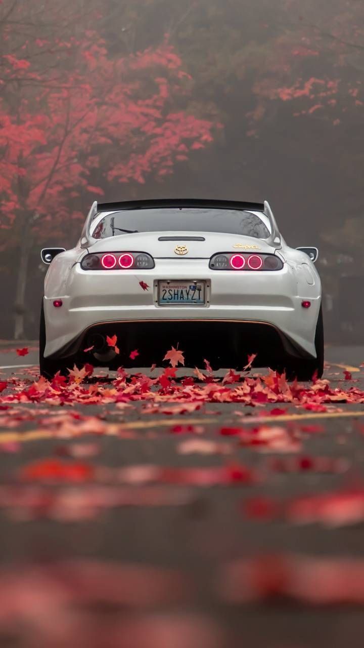 Toyota Supra, Weißer Sportwagen, Rote Blätter, Heckansicht, HD, iPhone-Hintergrundbild