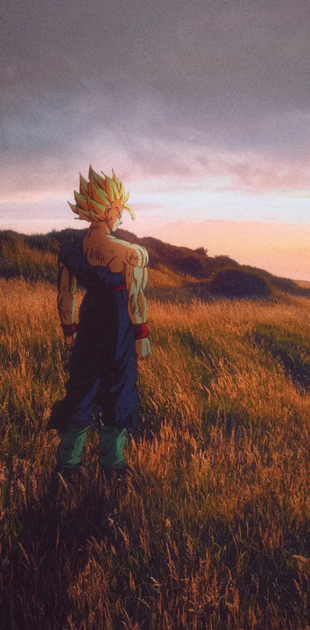 Son Goku, Super-Saiyajin, Dragon Ball Z, Wiese, Sonnenuntergang, Hintergrundbild fürs Handy