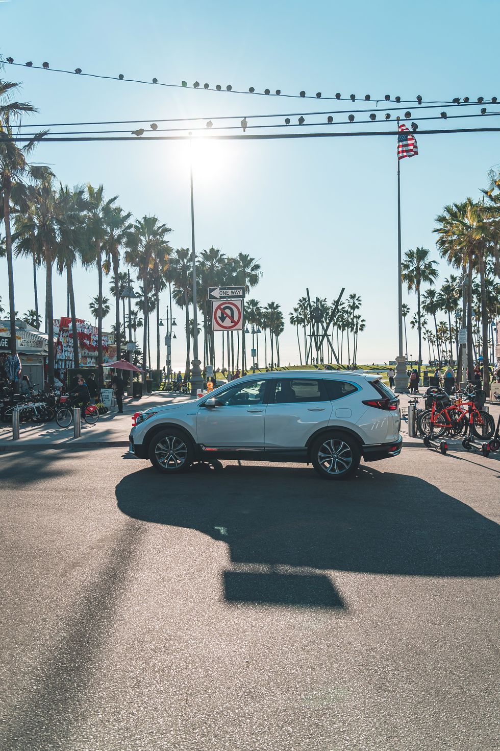 Honda CR-V, Honda, Palmen, Straße, Sonnenlicht, Hochformat, Hintergrundbild fürs Smartphone