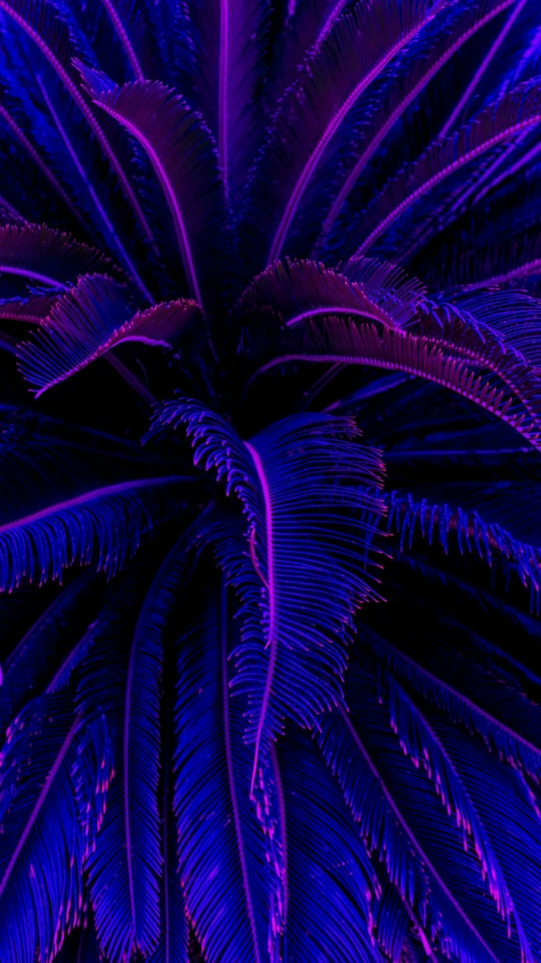 Palme, Blätter, Lila, Blau, Froschperspektive, Full HD, Handy-Hintergrund im Hochformat