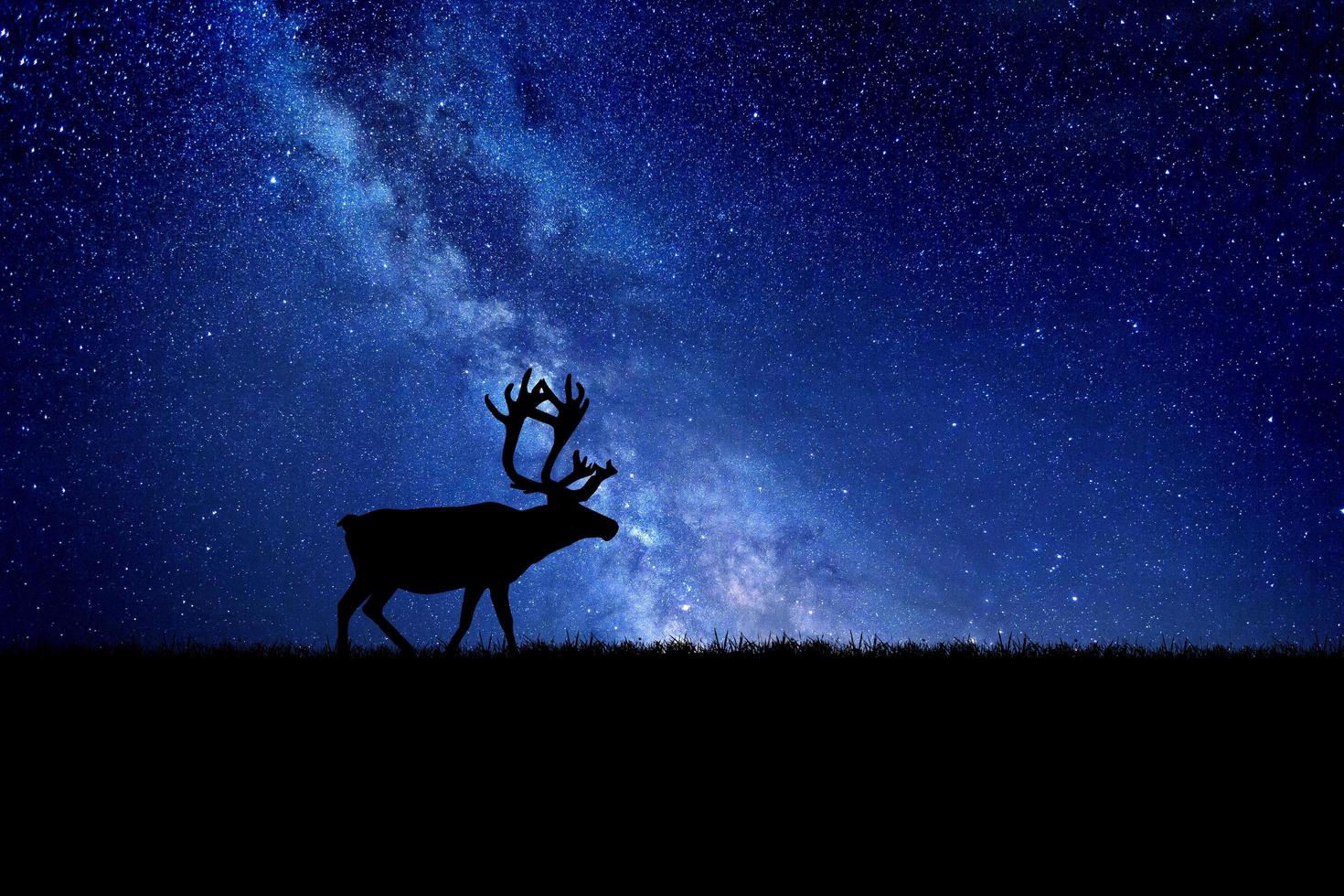 Rentier, Silhouette, Milchstraße, Sternenhimmel, Nacht, HD, Hintergrund für den Desktop
