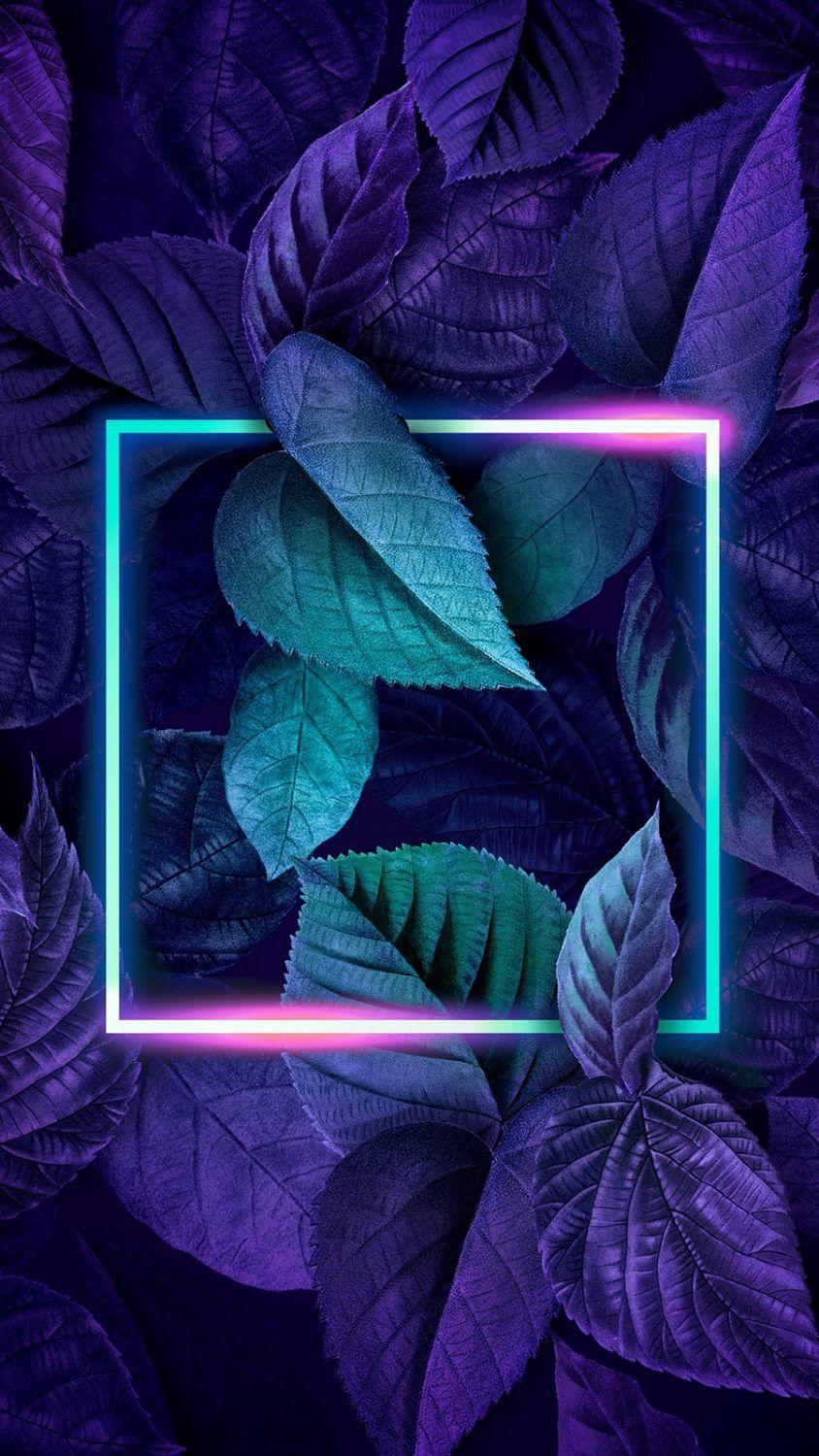 Neonrahmen, Blätter, Quadrat, Lila, Türkis, HD, Sperrbildschirm fürs iPhone