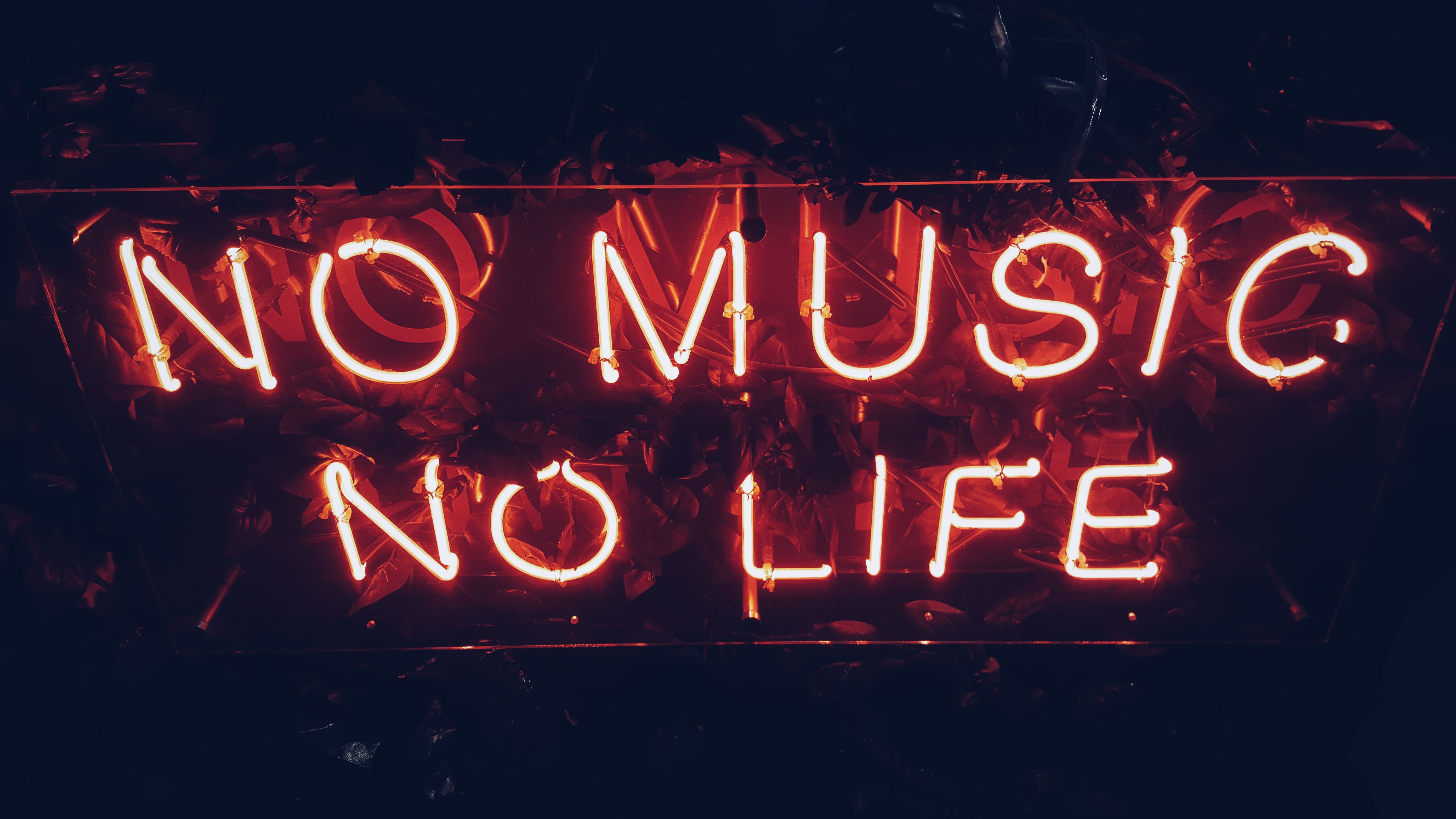 No Music No Life, Neonschrift, Rot, Musik, Dunkel, 5K, Desktop-Hintergrund für Windows