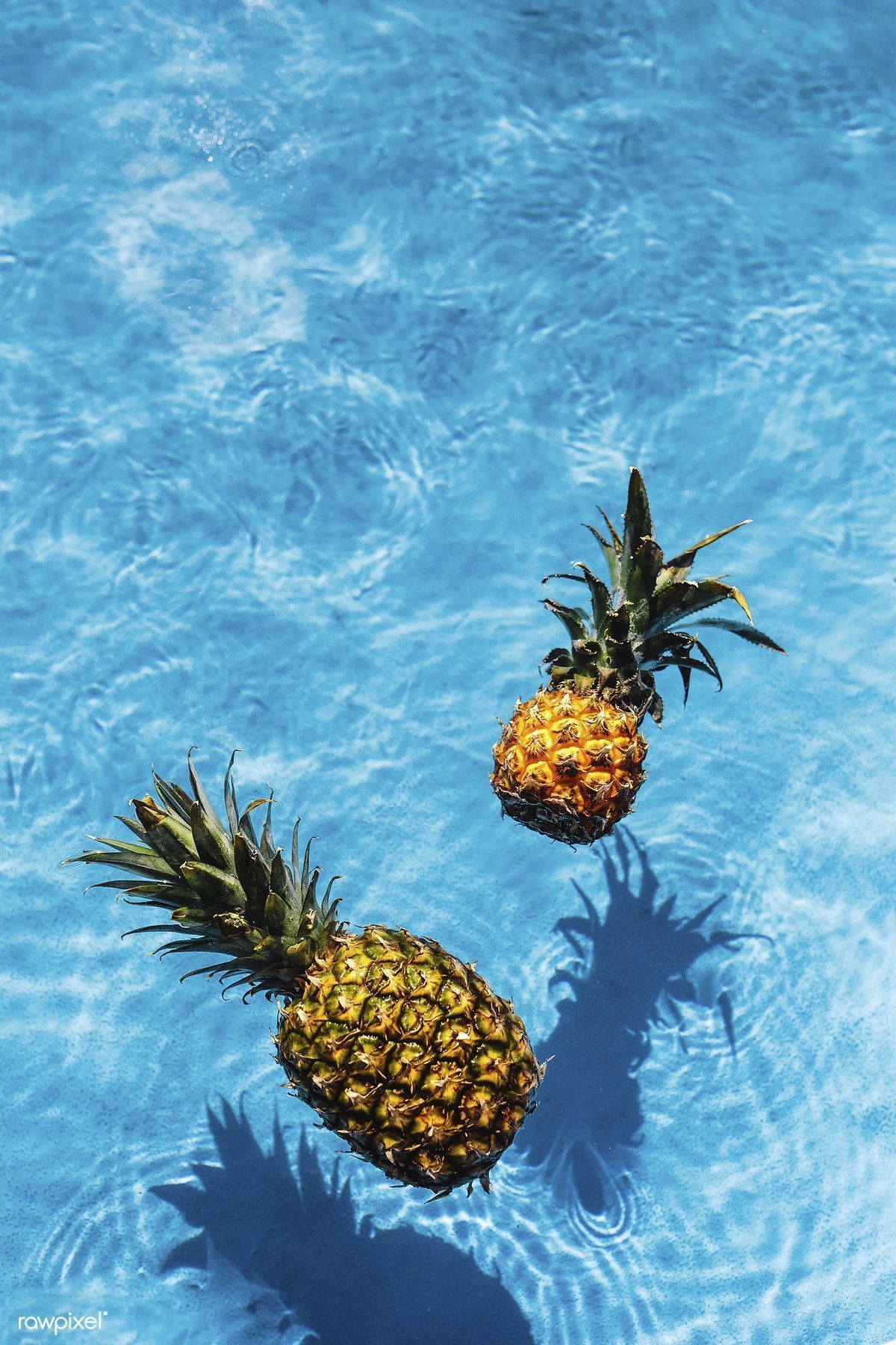 Ananas, Pool, Wasser, Sommer, Blau, Full HD, Sperrbildschirm fürs iPhone
