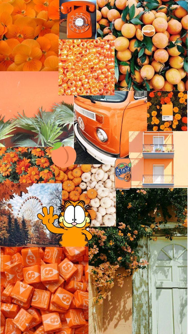 Orangen, Collage, Orange, Ästhetik, HD, Sperrbildschirm fürs iPhone