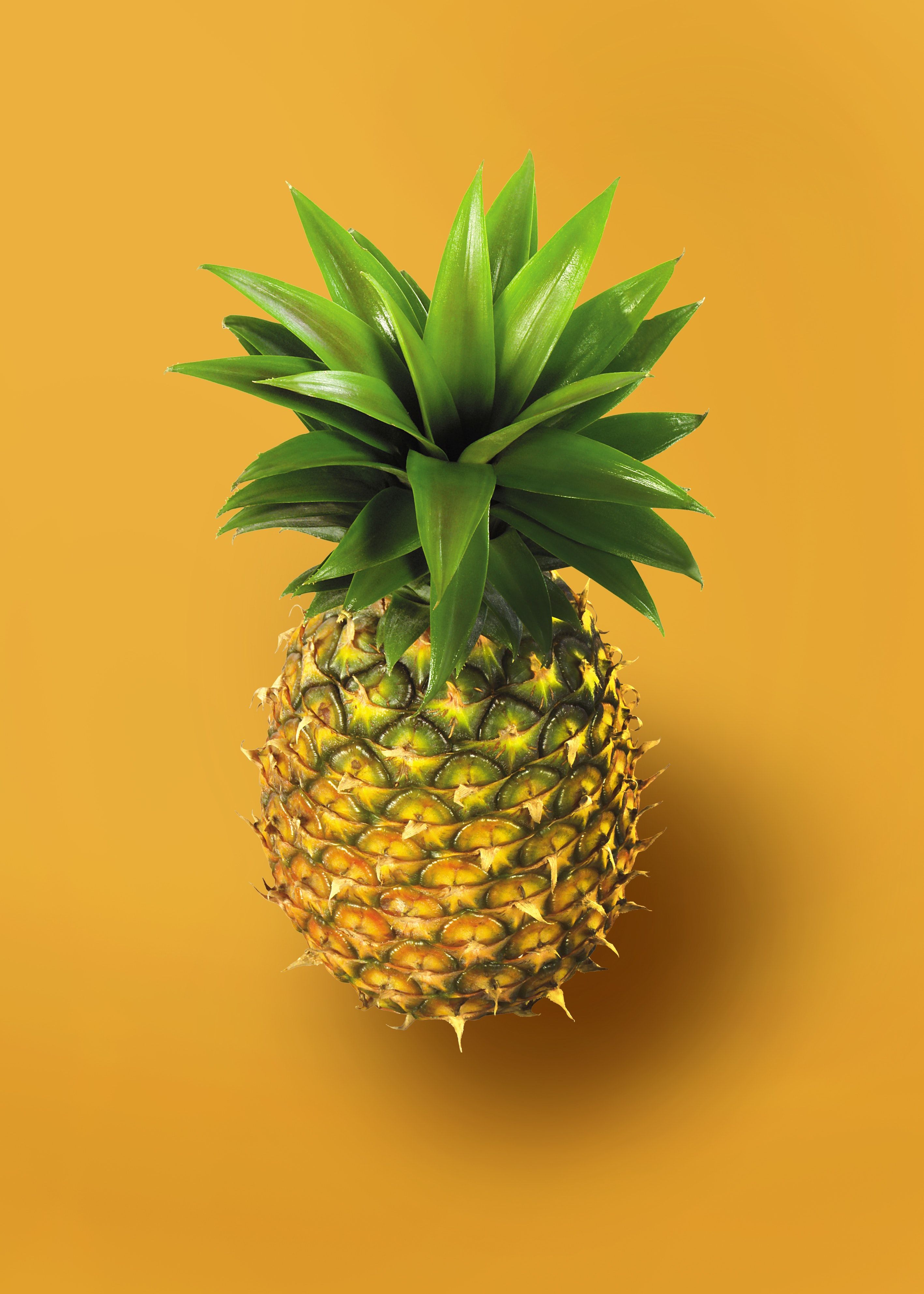 Ananas, Gelber Hintergrund, Minimalistisch, QHD+ Wallpaper