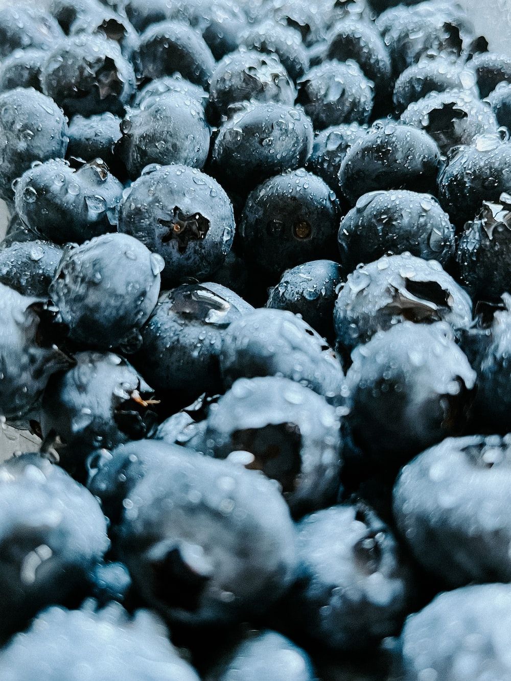 Heidelbeeren, Nahaufnahme, Blau, Vollbild, HD, Hintergrundbild fürs Tablet