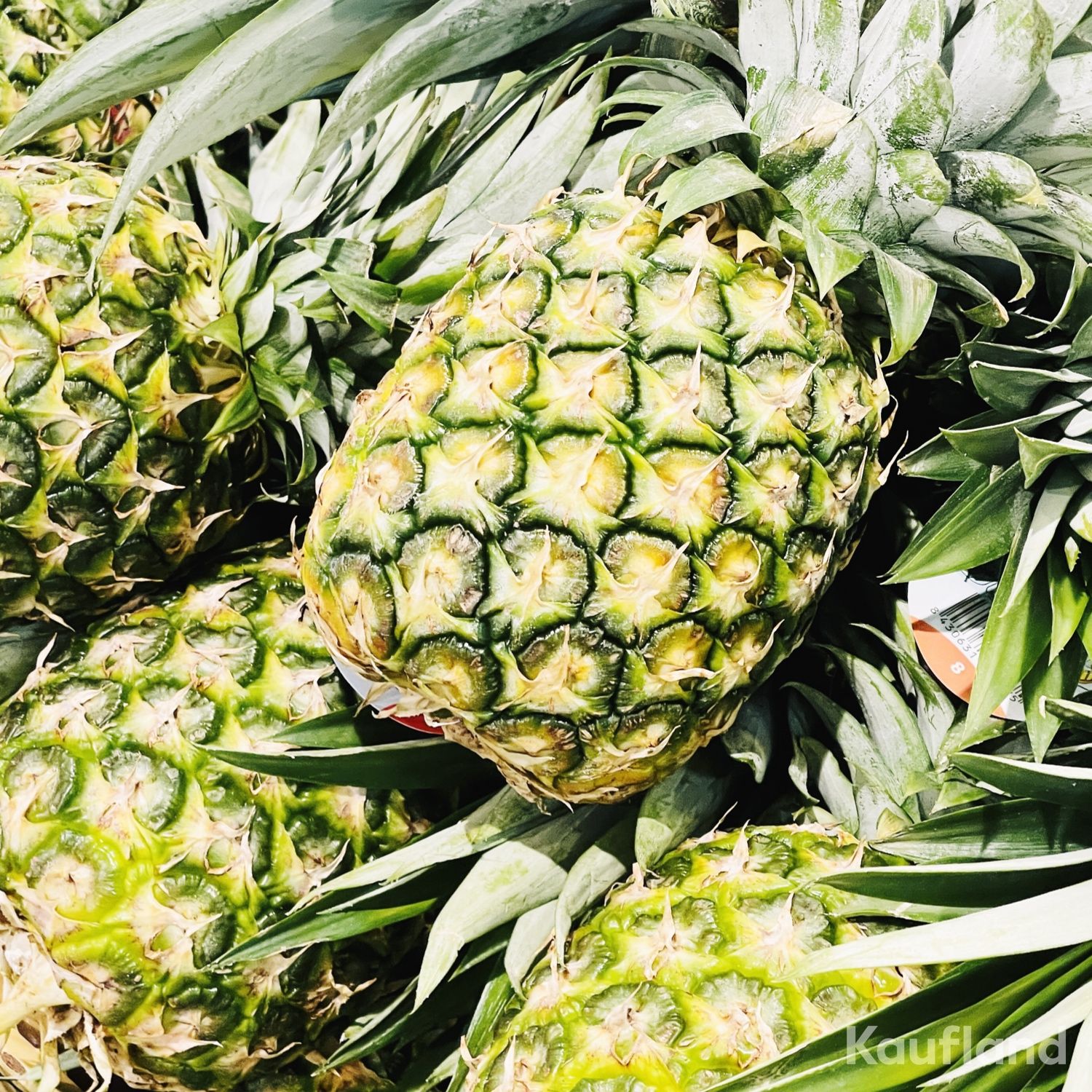 Ananas, Blätter, Nahaufnahme, Grün, HD, Hintergrundbild fürs Tablet