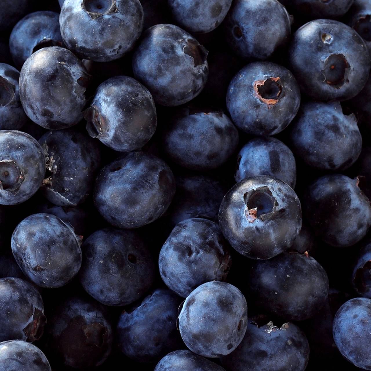Heidelbeeren, Nahaufnahme, Dunkelblau, HD, iPad-Hintergrundbild