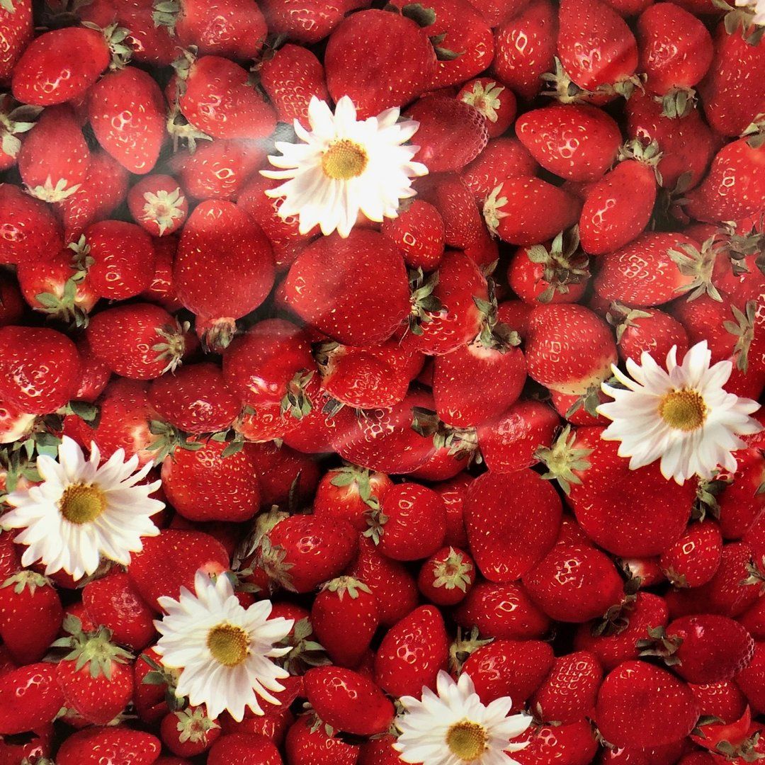Erdbeeren, Gänseblümchen, Rot, Weiß, Hintergrundbild für iPad und Tablet
