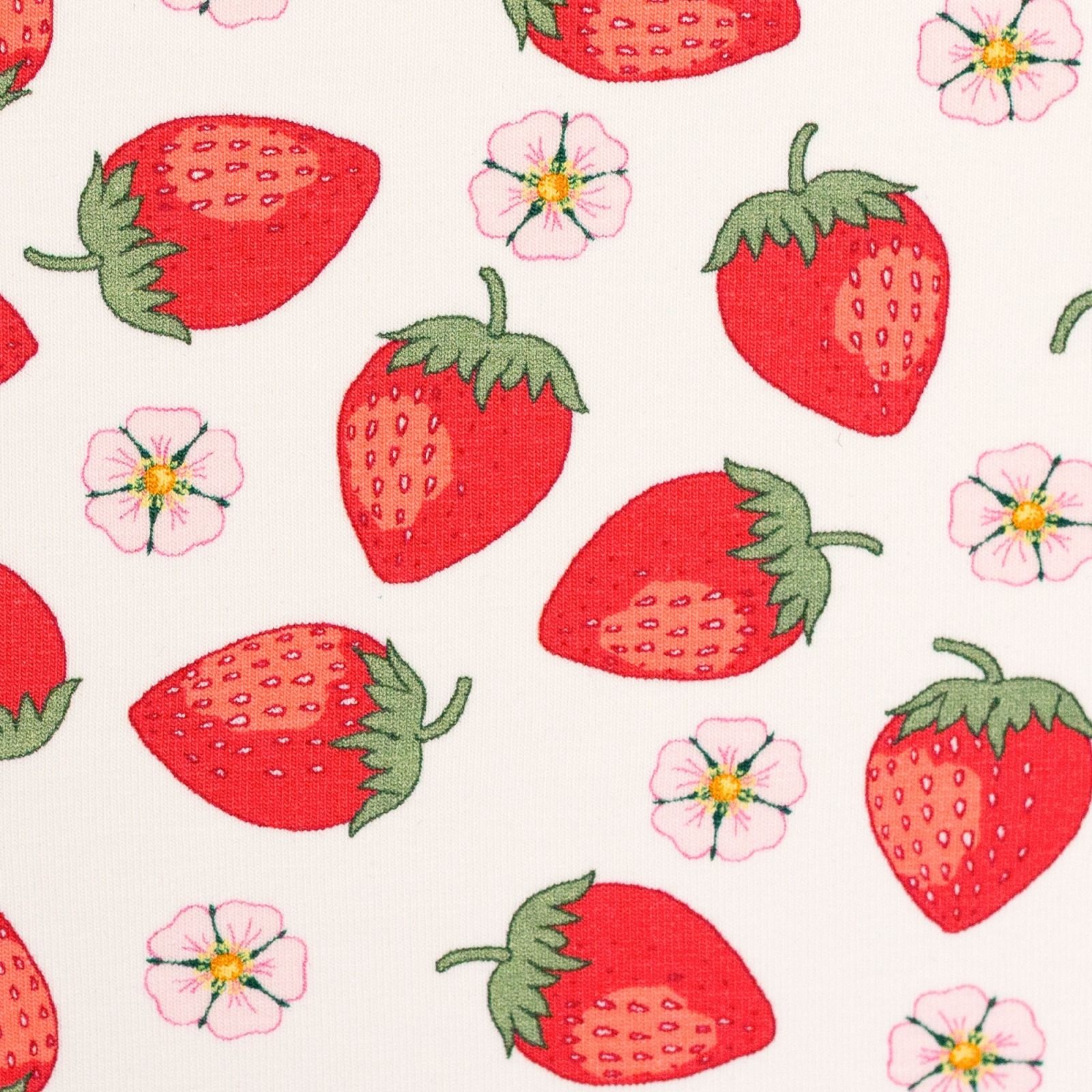 Erdbeeren, Blüten, Muster, Illustration, HD, iPad-Hintergrundbild