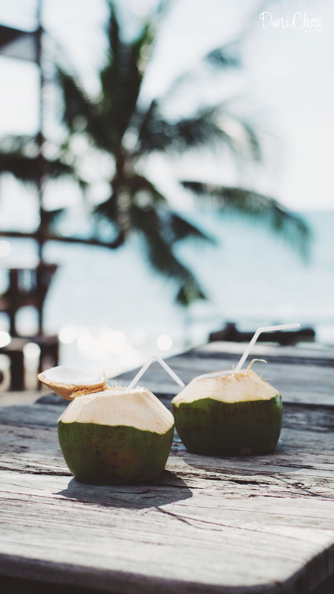 Kokosnüsse, Strohhalm, Palme, Strand, Full HD, Hintergrundbild fürs Handy