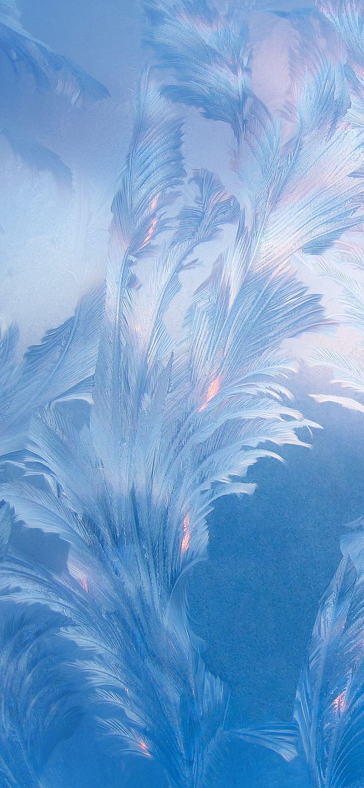 Eisblumen, Frost, Blau, Nahaufnahme, Textur, HD, Hintergrundbild fürs Handy