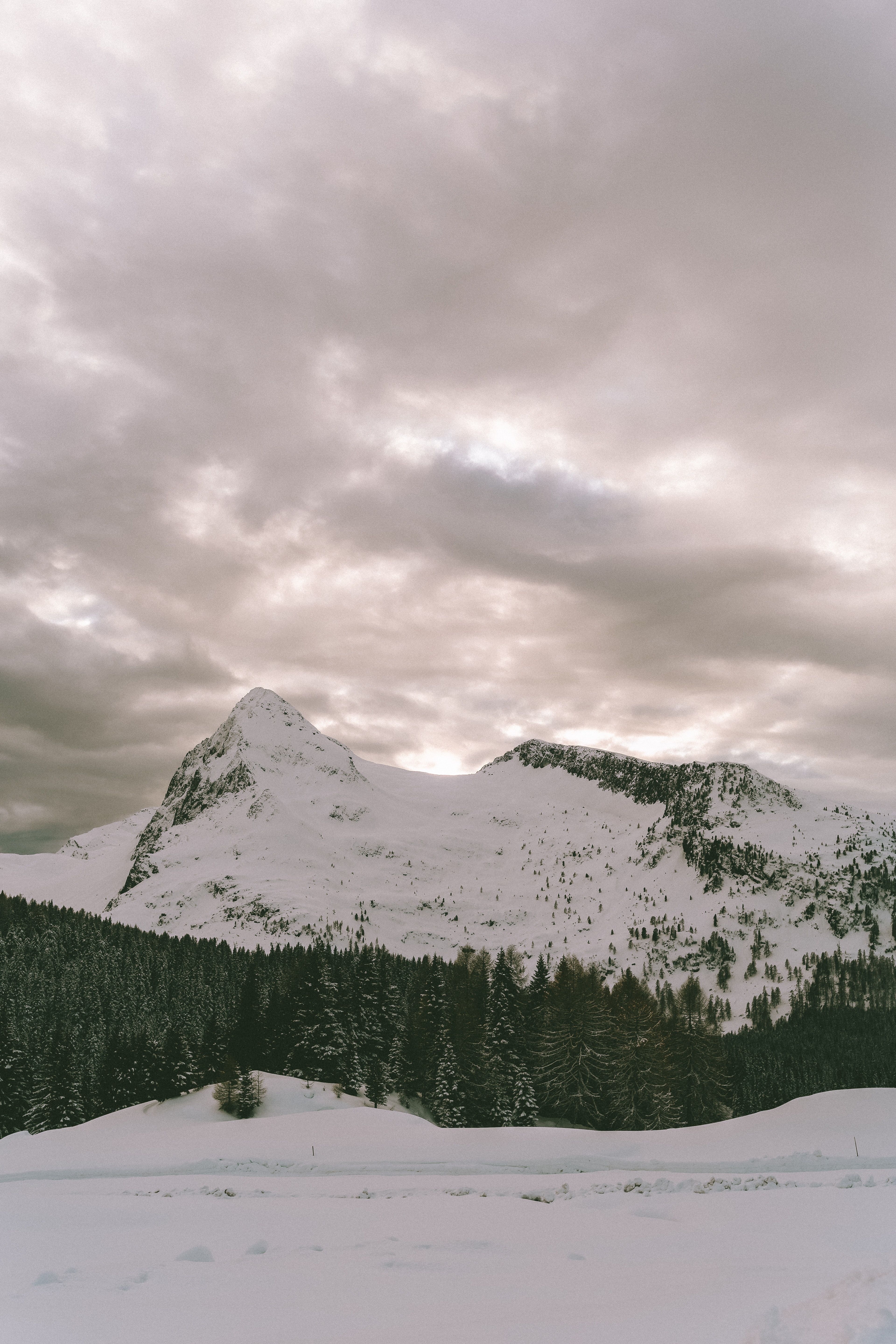 Schneeberg, Bewölkter Himmel, Wald, Winterlandschaft, QHD+, Hintergrundbild fürs Handy