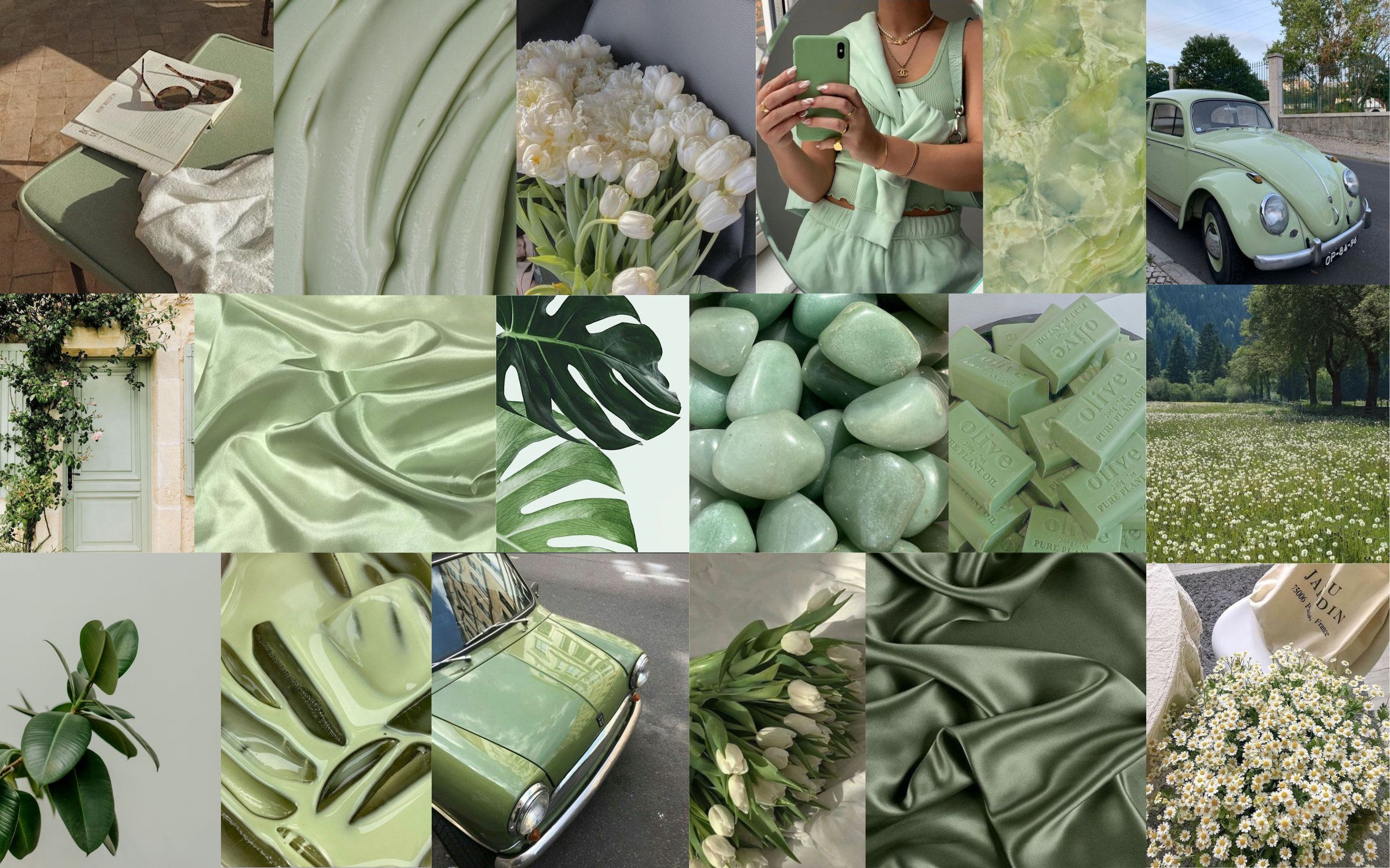 Collage, VW Käfer, Satin, Monstera, Salbeigrün, 2K, Hintergrund für den Desktop