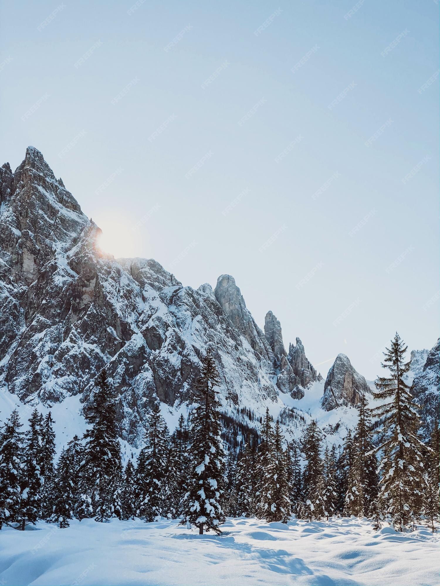 Felsgipfel, Alpen, Tannen, Gegenlicht, Schnee, QHD+, Hintergrundbild fürs Tablet