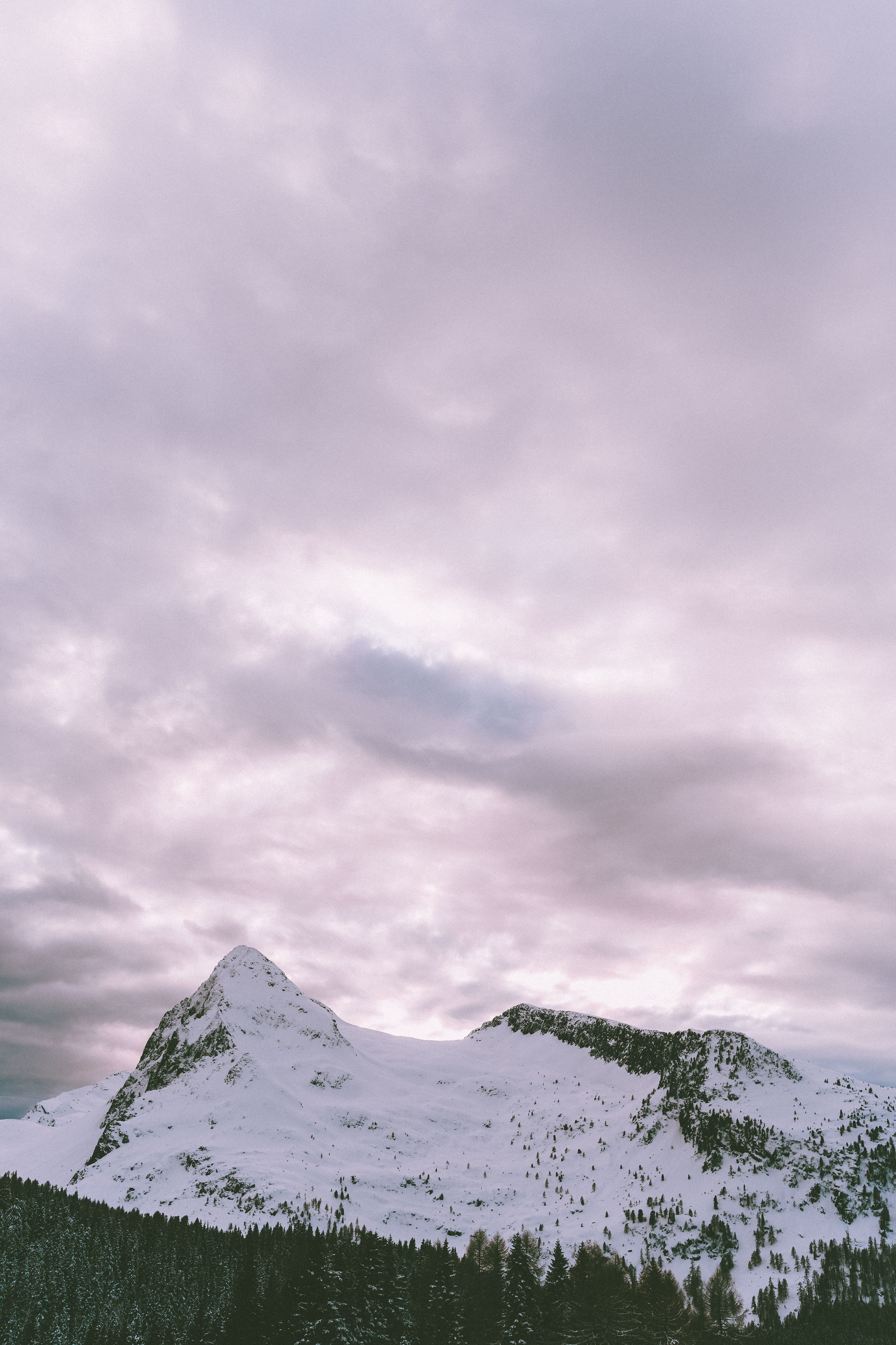 Berggipfel, Wolkenhimmel, Nadelwald, Grau, QHD+, Hintergrundbild fürs Handy