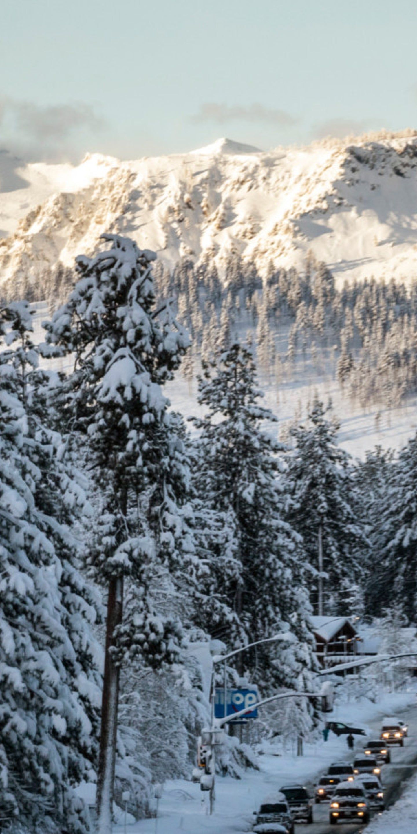 Verschneite Tannen, Felswand, Bergwald, Schnee, QHD+, Handy-Hintergrund im Hochformat