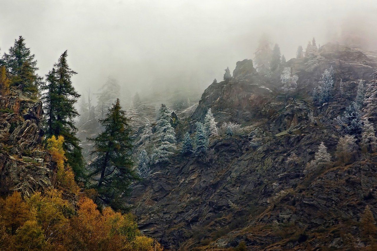 Nebel, Nadelwald, Felshang, Raureif, HD, Hintergrundbild für den PC