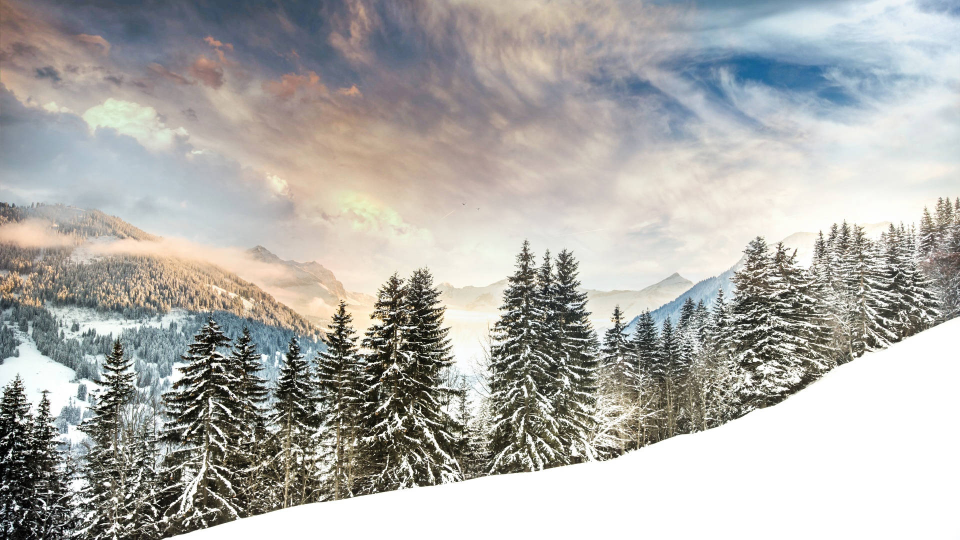 Verschneite Tannen, Bergtal, Wolkenhimmel, Panorama, Winter, Full HD, Breitbild-Hintergrundbild