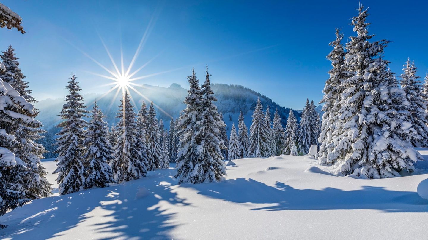 Verschneite Tannen, Sonnenstern, Blauer Himmel, Winterwald, HD, Desktop-Hintergrund
