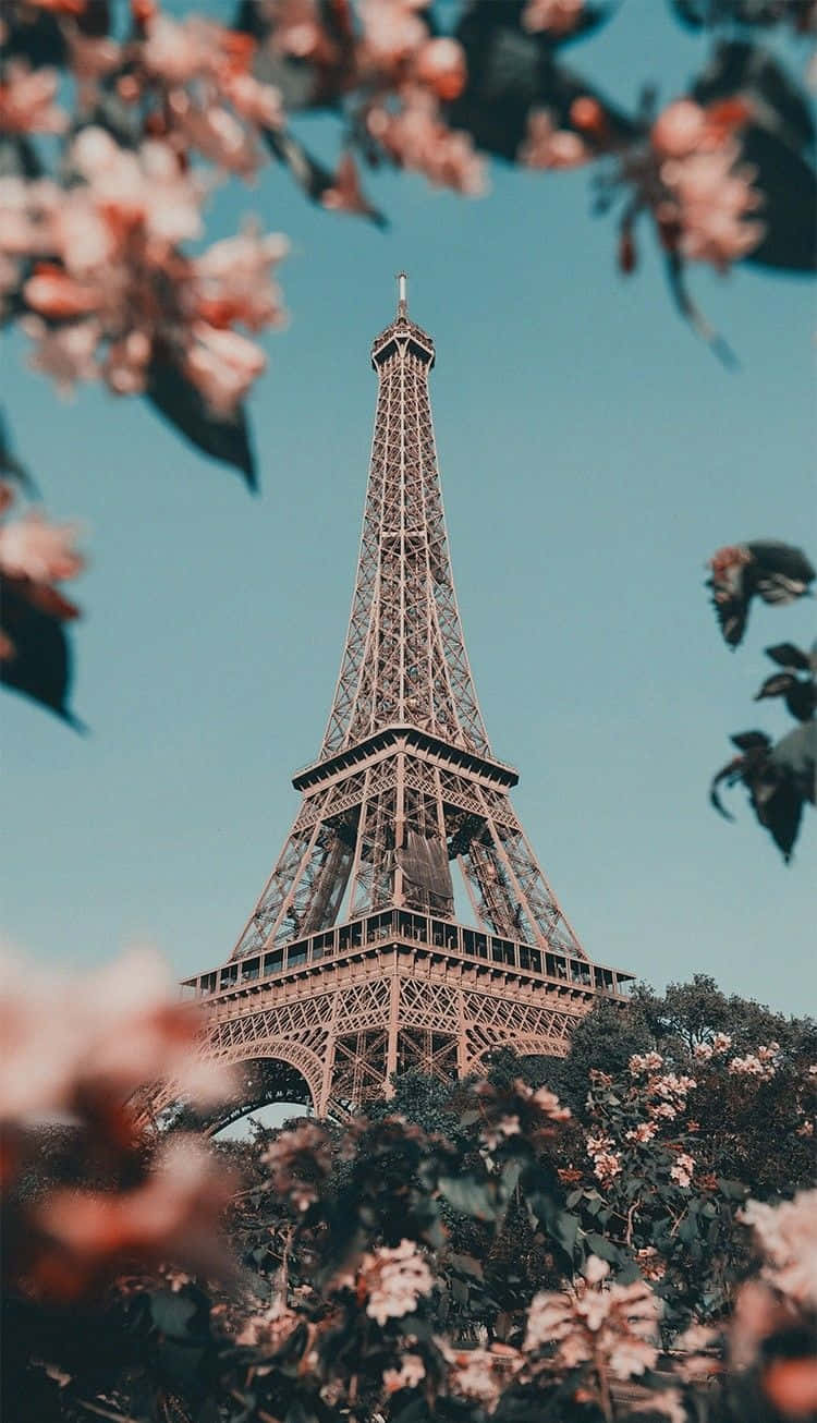 Eiffelturm, Paris, Kirschblüte, Frühling, Blauer Himmel, Rahmen aus Blüten, HD, iPhone-Hintergrundbild