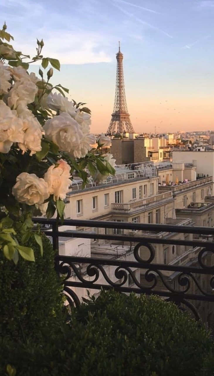 Eiffelturm, Paris, Balkon, Rosen, Dächer, Abendhimmel, HD, Handy-Hintergrund im Hochformat