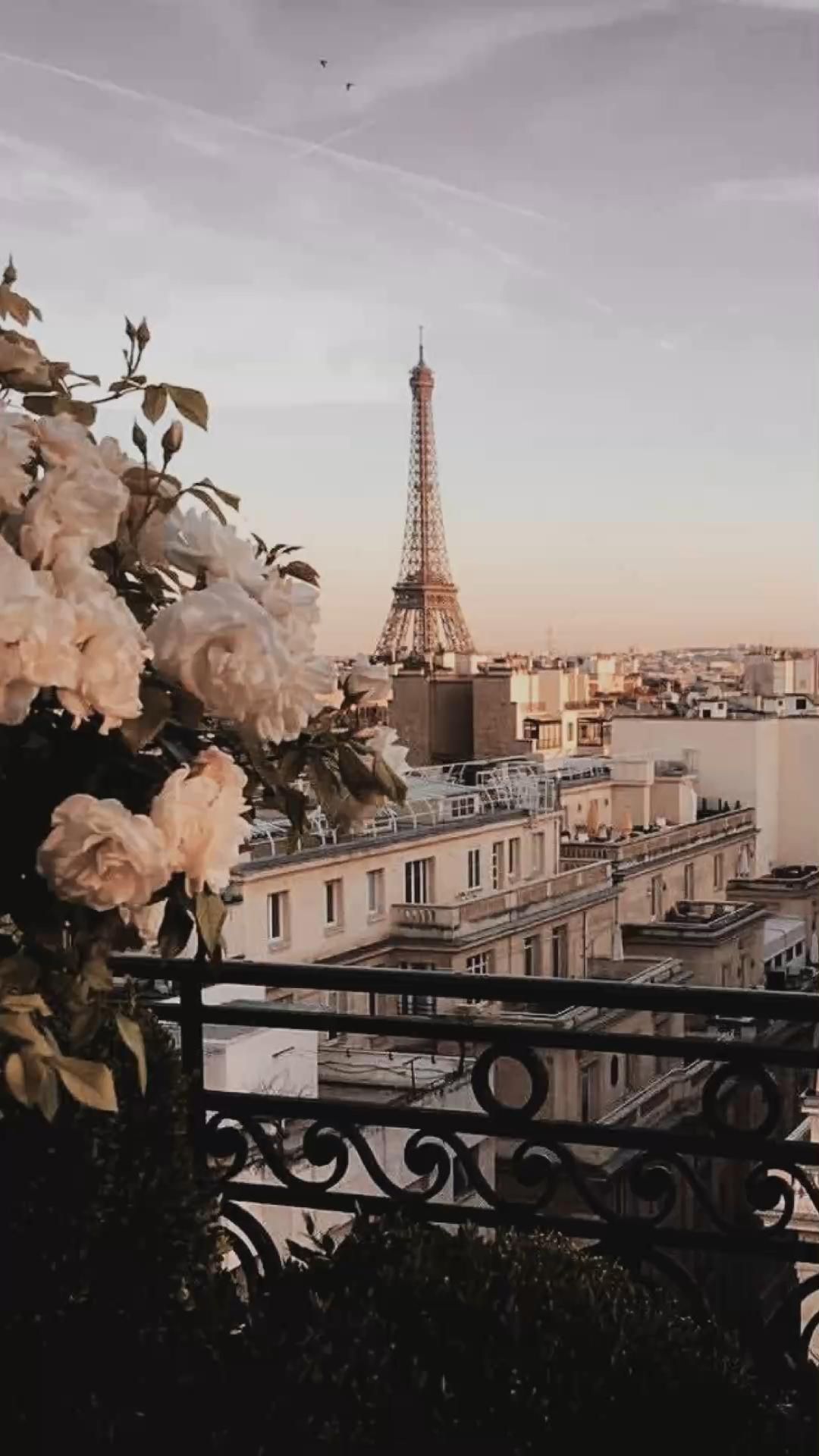 Eiffelturm, Paris, Balkon, Rosen, Dächer, Dunst, Full HD, Sperrbildschirm fürs iPhone