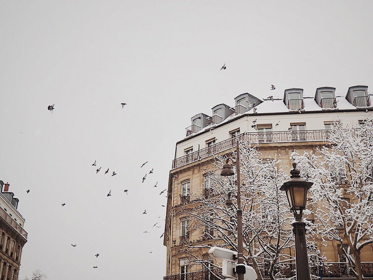 Paris, Schnee, Winter, Haussmann-Bauten, Vögel, Laterne, Hintergrundbild fürs Tablet