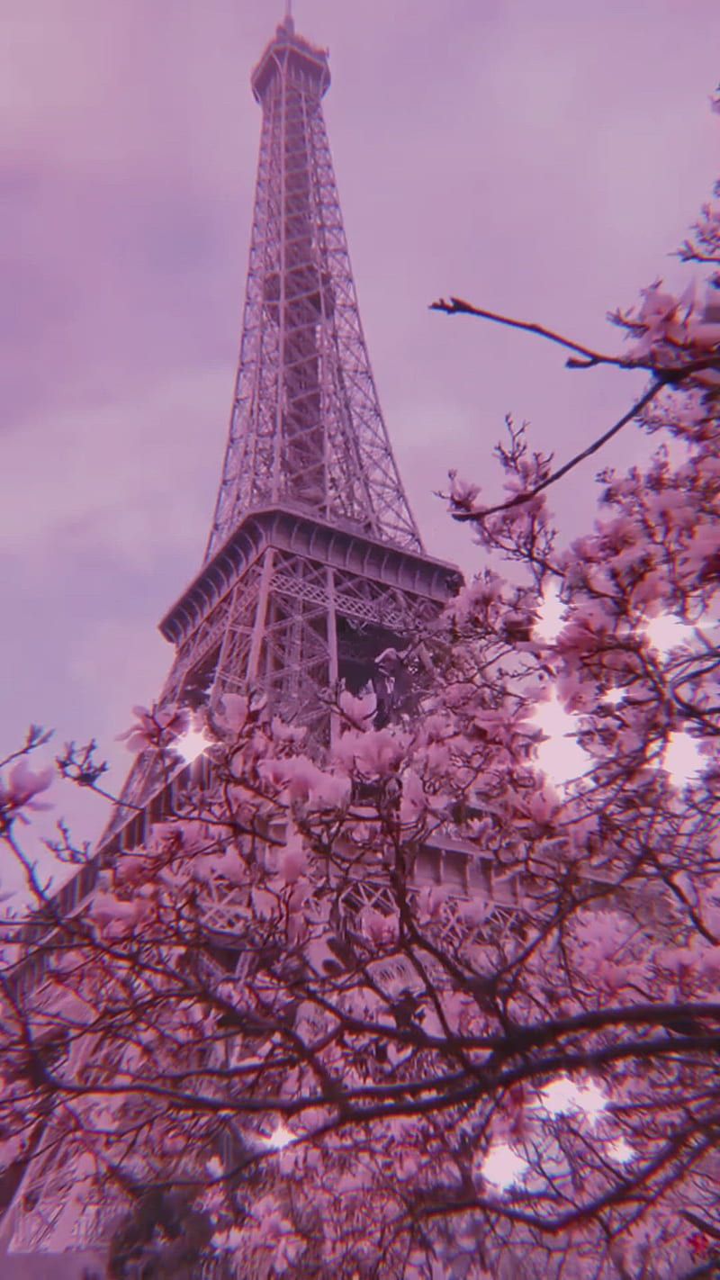 Eiffelturm, Paris, Kirschblüte, Lila Töne, Frühling, Hintergrundbild für iPhone und Android