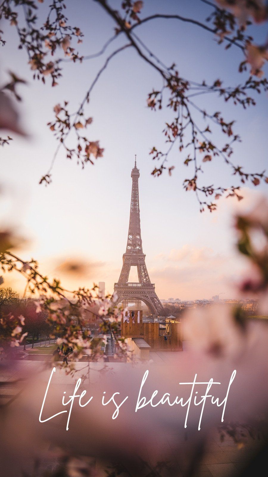 Eiffelturm, Paris, Life is beautiful, Schriftzug, Blüten, Sonnenuntergang, HD, Handy-Hintergrund