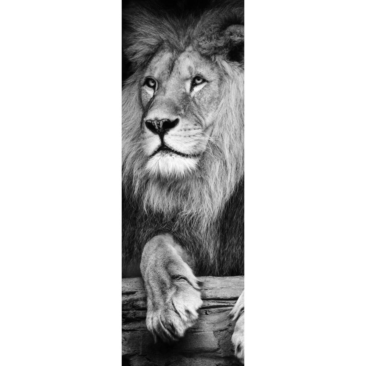 Löwe, Pfoten, Holzbalken, Porträt, Hochformat, Hintergrundbild für iPad und Tablet