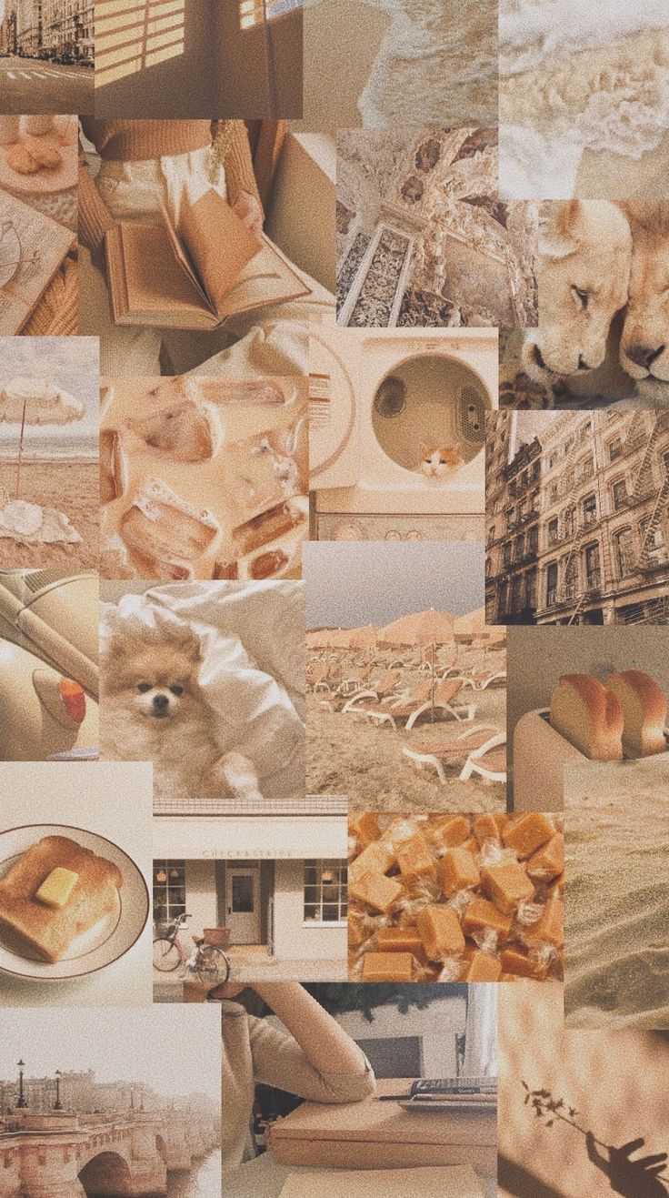 Collage, Beige Ästhetik, Lifestyle, Warme Töne, Moodboard, HD, iPhone-Hintergrundbild