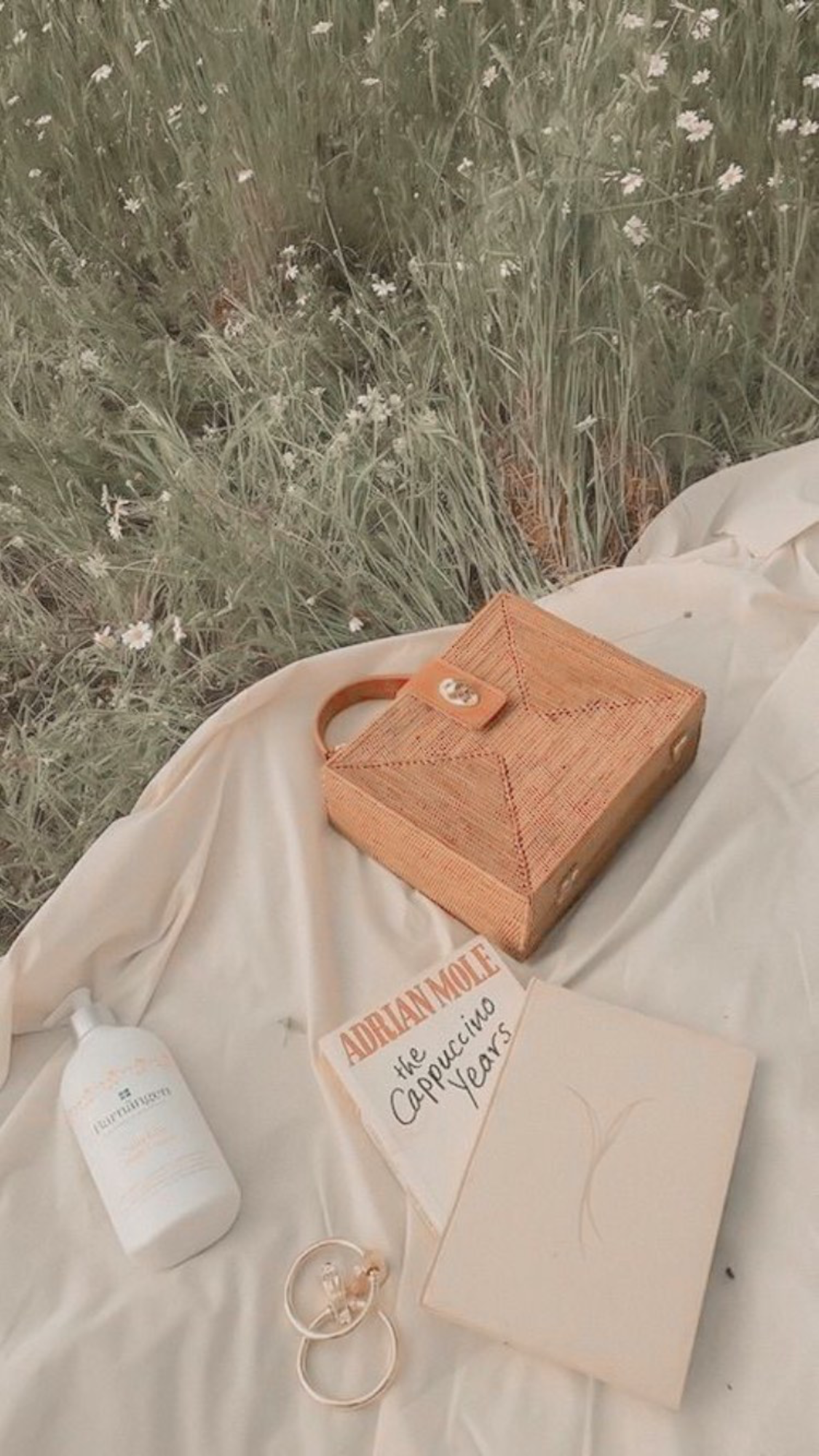 Picknick, Wiese, Decke, Geschenk, Natürliche Töne, Full HD, Sperrbildschirm fürs iPhone