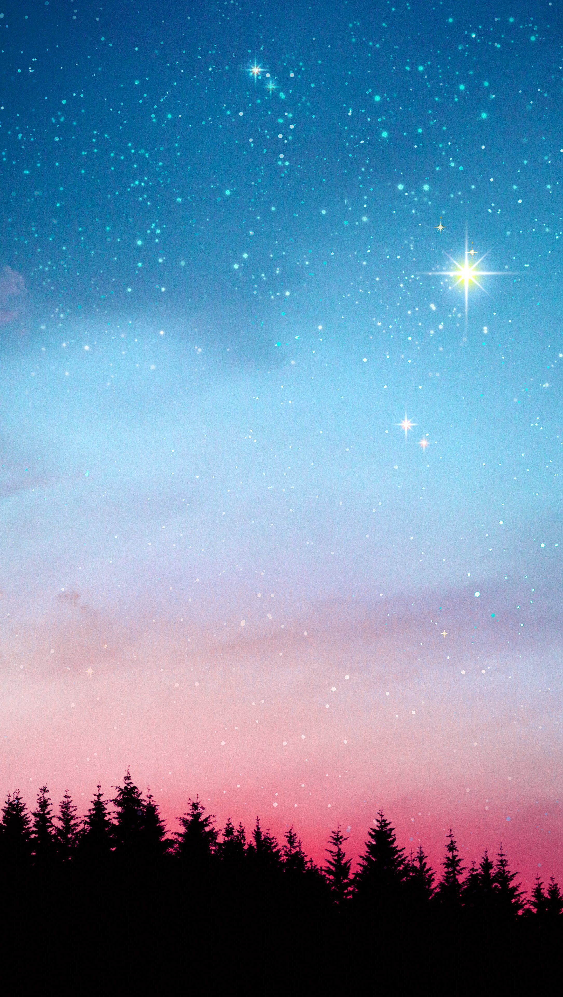 Abendhimmel, Stern, Wald, Silhouette, Dämmerung, Rosa Horizont, QHD+, Handy-Hintergrundbild
