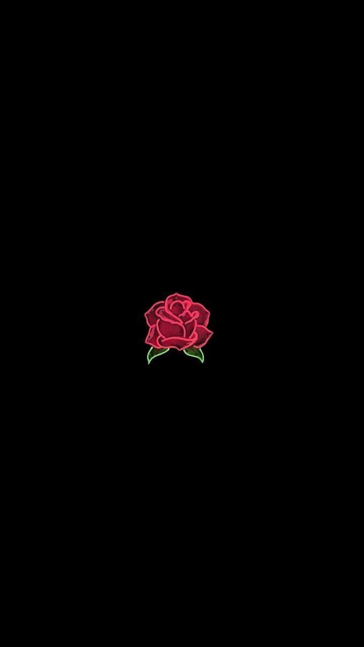 Rose, Rot, Schwarzer Hintergrund, Minimalistisch, HD, Sperrbildschirm fürs iPhone