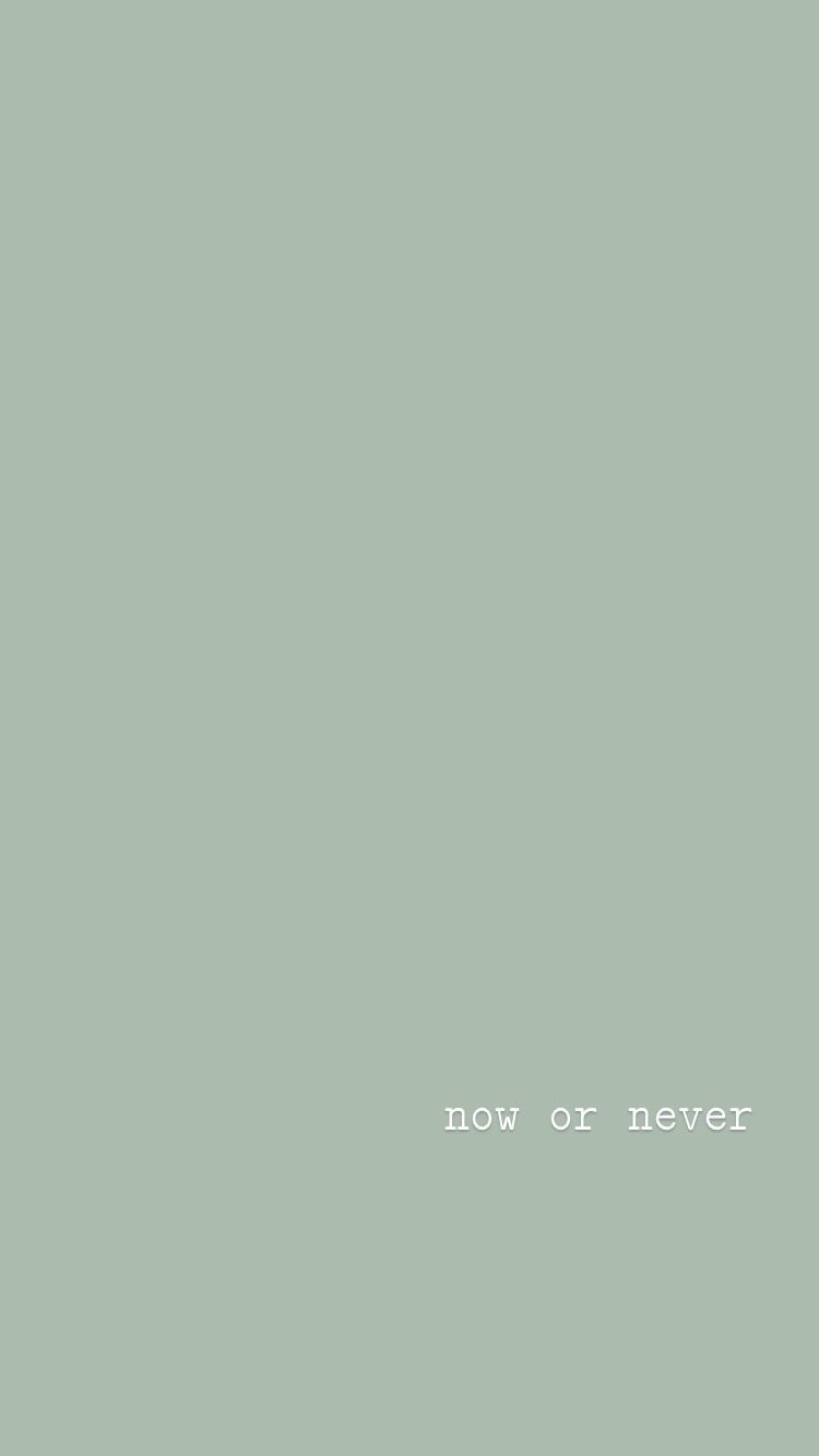 Salbeigrün, Now or never, Kleiner Text, Graugrün, Minimalistisch, Hintergrundbild fürs Handy