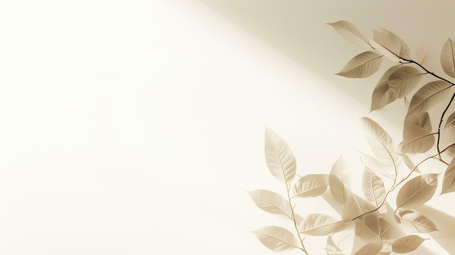 Blätterschatten, Beige Zweige, Sonnenlicht, Creme, Natur, HD, Desktop-Hintergrund