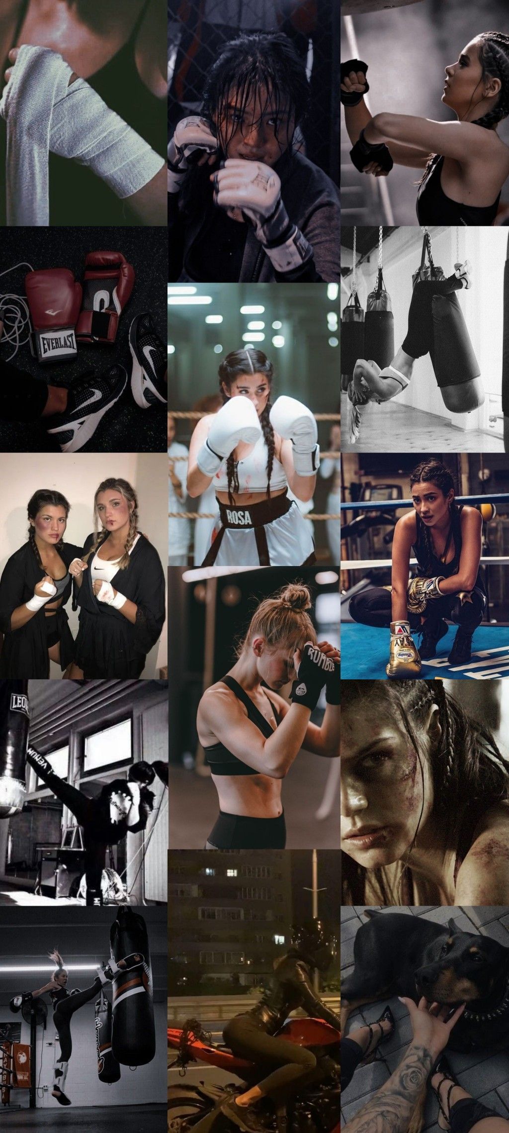 Collage, Boxer, Boxtraining, Hochformat, Hintergrundbild für iPhone und Android