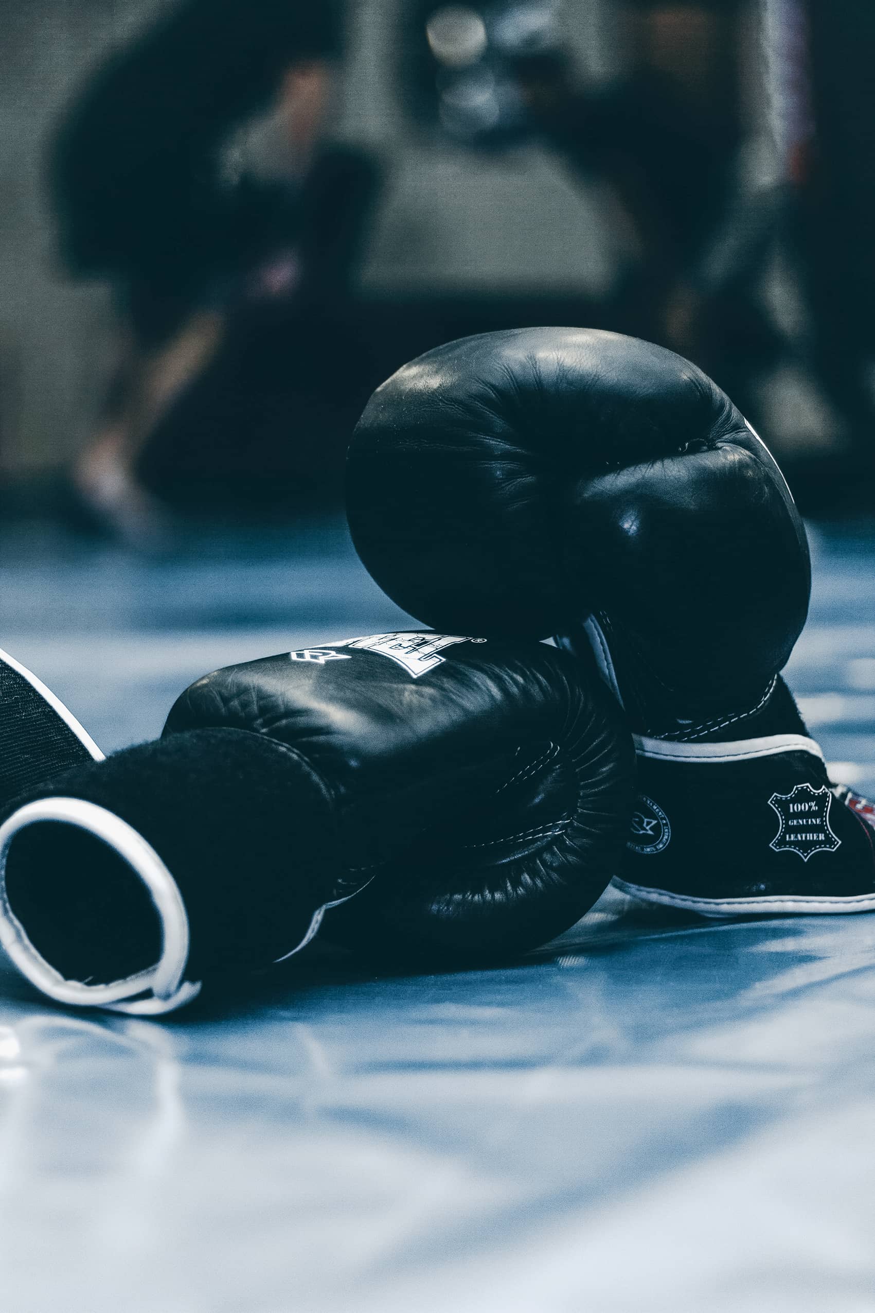 Boxhandschuhe, Boden, Dunkelblau, Hochformat, QHD+, Hintergrundbild fürs Tablet
