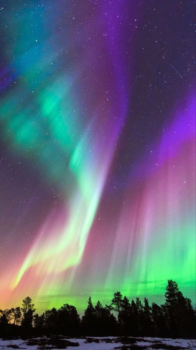 Aurora borealis, Lila, Grün, Wald, Silhouetten, Hintergrundbild für iPhone und Android
