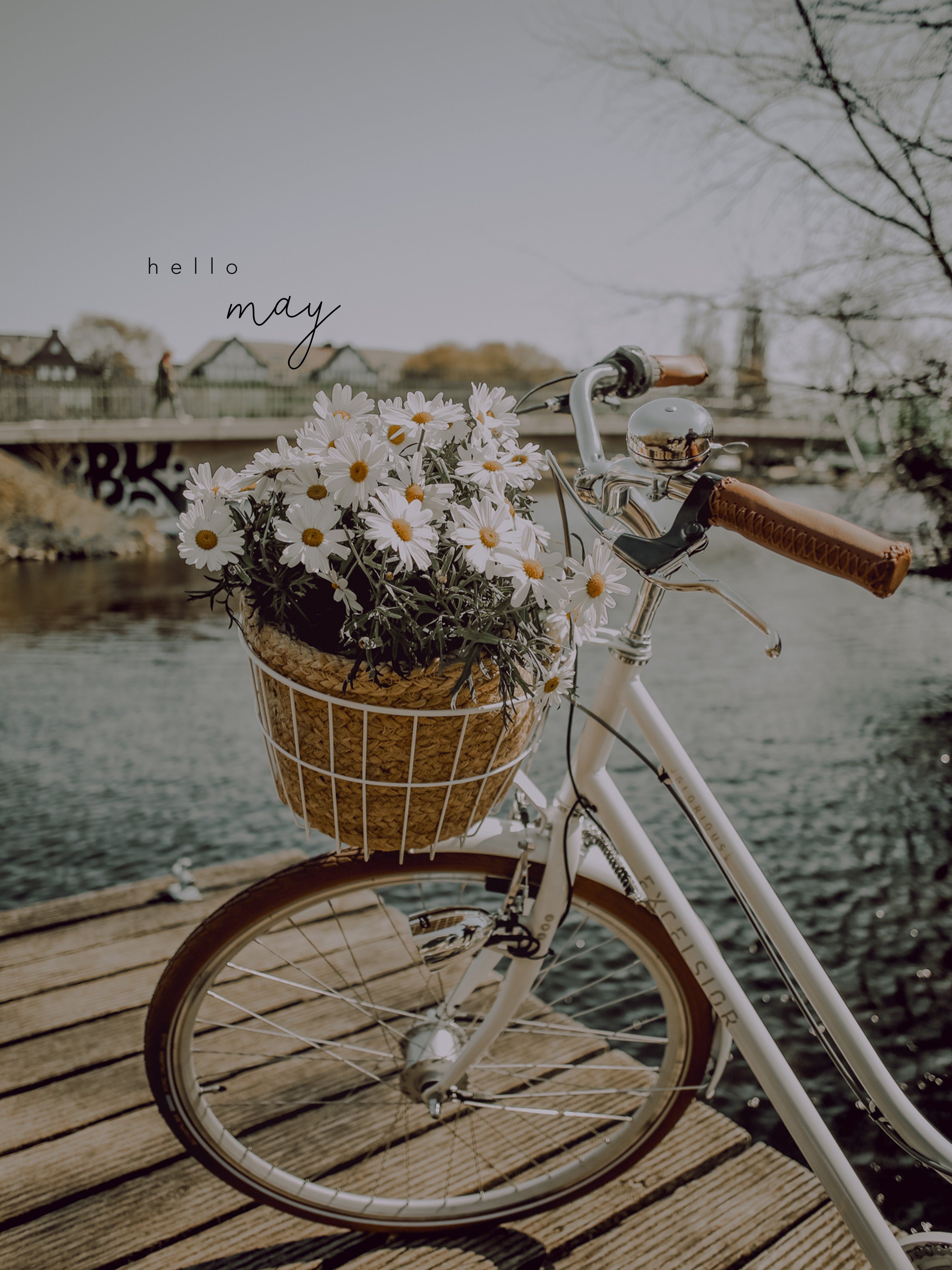 Fahrrad, Blumenkorb, Steg, Hello May, Frühling, QHD+, iPad-Hintergrundbild